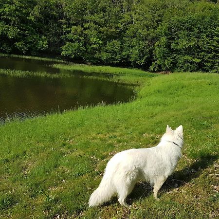 Gite Le Domaine D Orphee Marmagne  エクステリア 写真