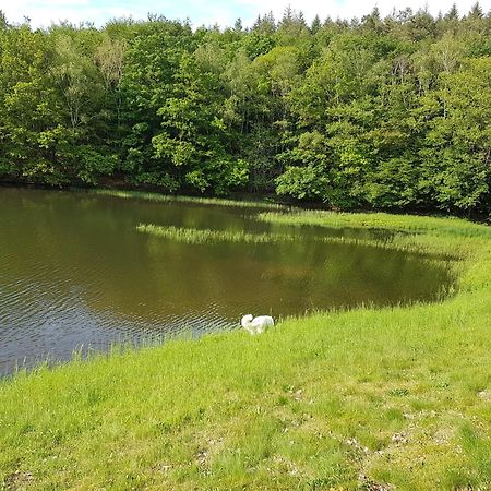 Gite Le Domaine D Orphee Marmagne  エクステリア 写真