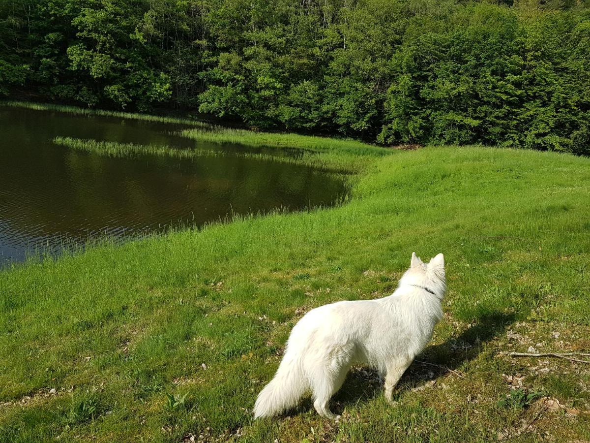 Gite Le Domaine D Orphee Marmagne  エクステリア 写真