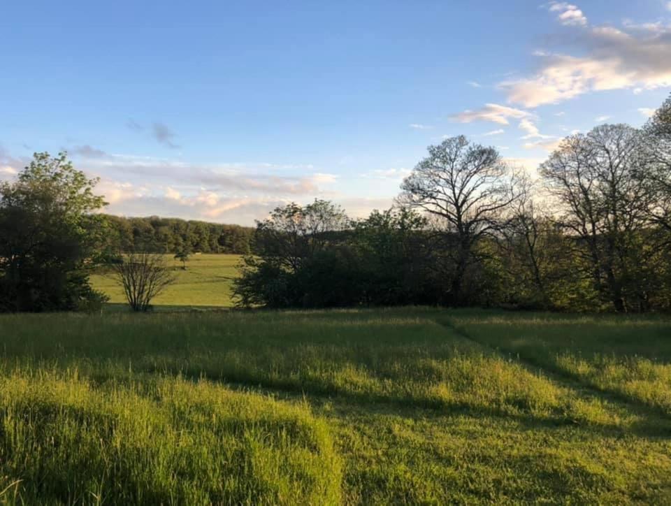 Gite Le Domaine D Orphee Marmagne  エクステリア 写真