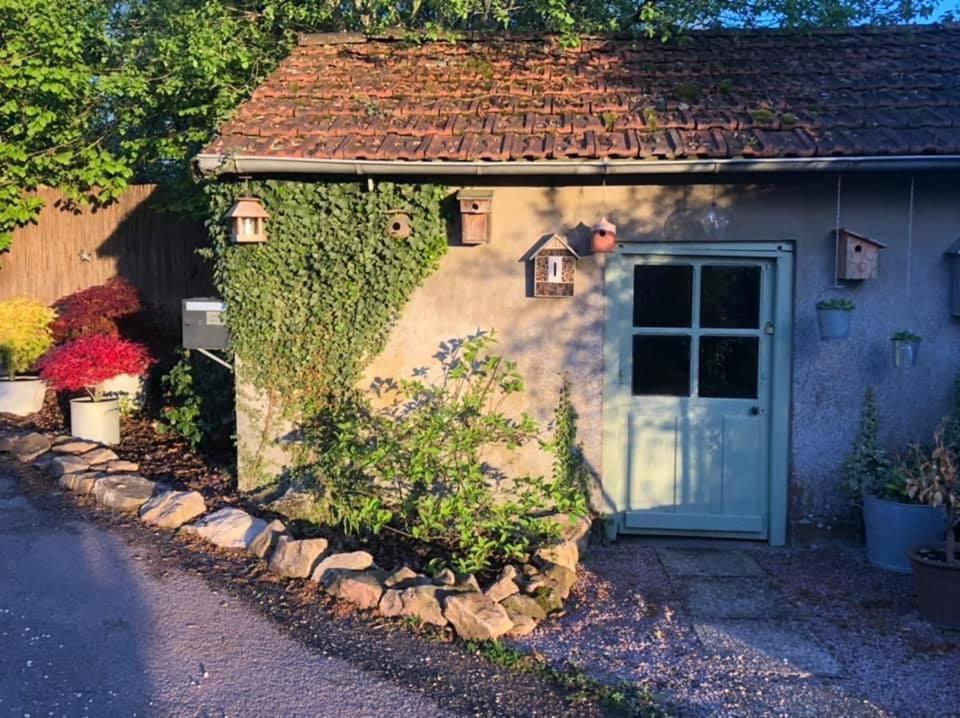 Gite Le Domaine D Orphee Marmagne  エクステリア 写真